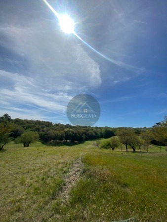 Hermoso Terreno Alto En Barrio Colinas Del Golf
