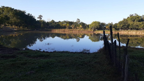 Sítio À Venda, 28000 M² Por R$ 600.000 - Saltinho - Elias Fausto/sp - Si0040