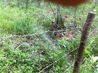 Imagem 10 de 16 de Terreno / Área Para Comprar No Marques Em Brumadinho/mg - 293