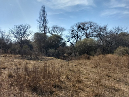 Imagen 5 de 17 de Campo De 100 Hectareas Con Casa En Tulumba, Provincia De Cordoba