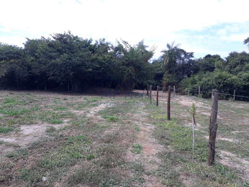 Imagem 15 de 30 de Chácara, Campo Alto, Pirassununga - R$ 180 Mil, Cod: 10131719 - V10131719