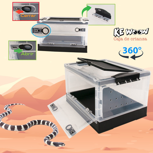 Caja Abatible De Cría Para Arácnidos Y Reptiles. Kewoow