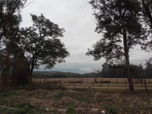 Imagen 7 de 10 de Terreno Venta La Arbolada San Lorenzo Chico 1000 M