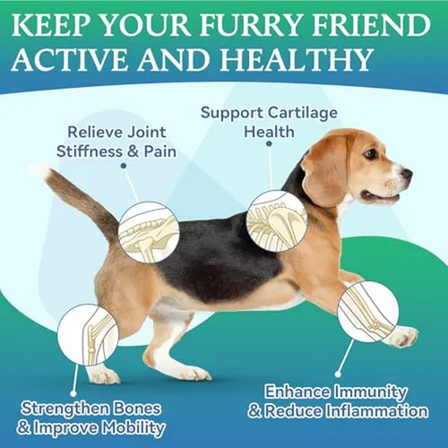 Suplemento Articular Para Perros - 200 Chews Con Glucosamina