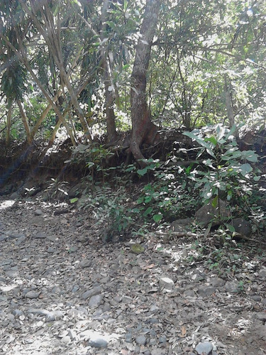 Finca