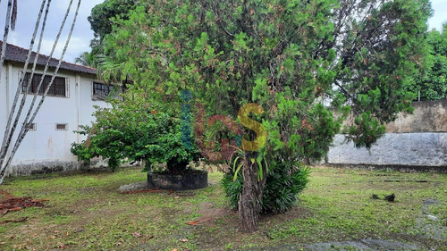Imagem 11 de 12 de Vendo Terreno Com 326m² No Savóia - 7593