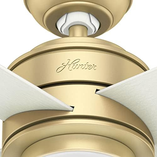 Hunter Fan Company, Ventilador De Techo Moderno Hepburn De L