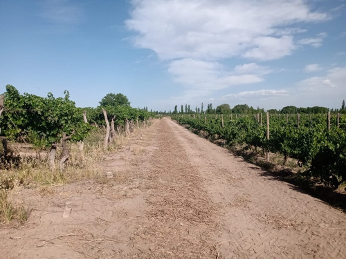 Imagen 2 de 14 de Venta De Finca Con 2 Propiedades 15 Y 6 Hectáreas