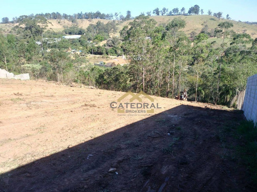 Imagem 5 de 5 de Terreno À Venda, 6500 M² Por R$ 330.000,00 - Estância São Paulo - Campo Limpo Paulista/sp - Te0049