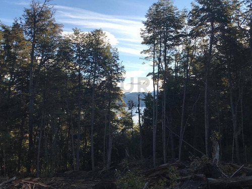 Imagen 6 de 27 de Lote De 3.079m2 En Bº Calfuco A Metros Del Lago Nahuel Huapi, Villa La Angostura