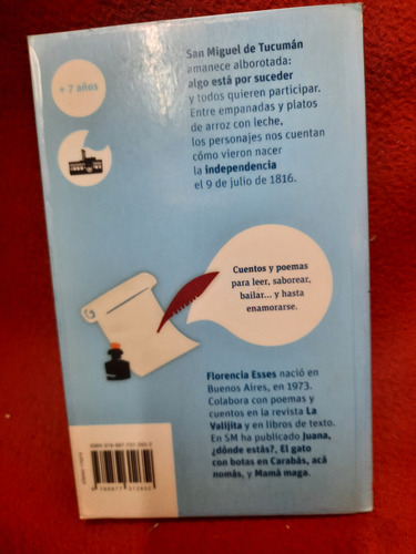 Me Contaron De Tucumán Barco De Vapor Sm Impecable!! (Usado)