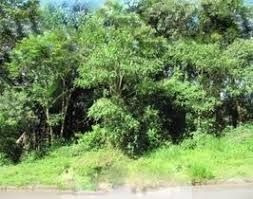 Terreno Para Venda No Pé Da Serra Da Cantareira! - Te0430