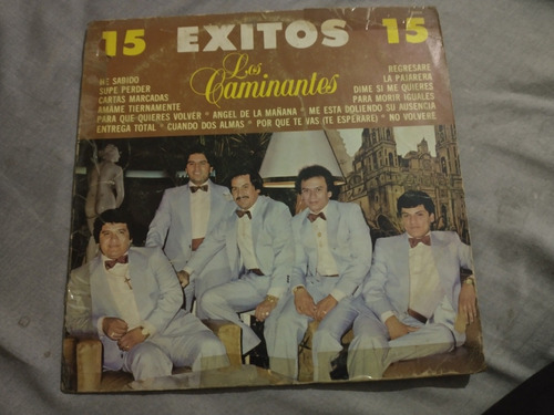 Los Caminantes  15 Exitos  Lp Vinilo.