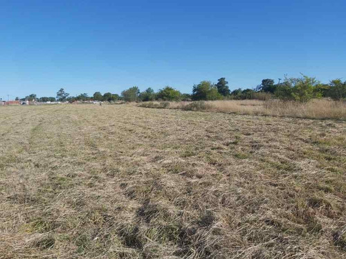 Imagen 3 de 14 de Lote En Venta En Canning