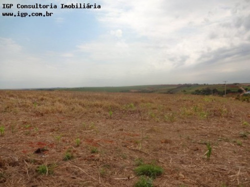 Imagem 4 de 4 de Terreno Industrial Cardeal - Te02157 - 2818011