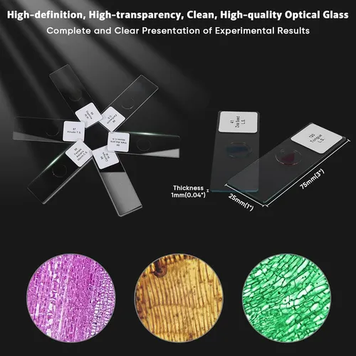 120 Portaobjetos De Microscopio Con Muestras, Diapositivas