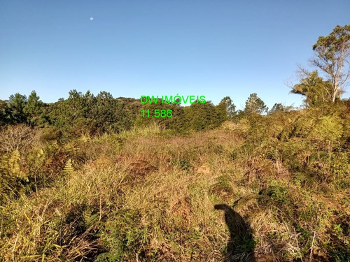Imagem 13 de 30 de Juquitiba/02 Belos Lagos/área De Plantio - 05010 - 68145388