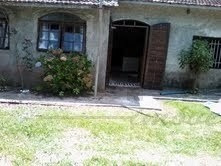 Imagem 8 de 13 de Chácara Para Venda - 35510