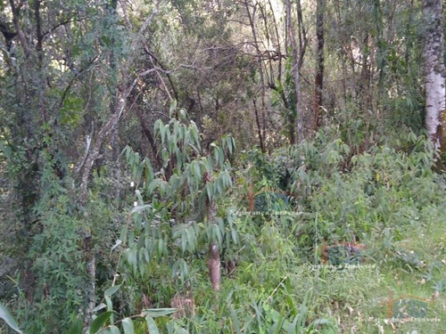 Imagem 4 de 6 de Ref.: 1296 - Terrenos Em Santana De Parnaíba Para Venda - V1296