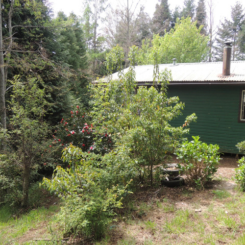 Casa Principal Con 3 Cabañas A 5 Minutos Del Centro De Pucon