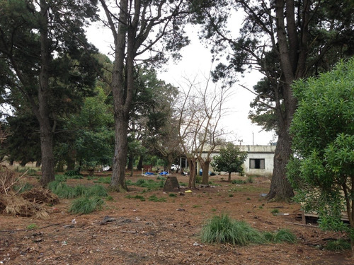 Imagen 8 de 13 de Fracción De Campo En Excelente Ubicación Y Entorno