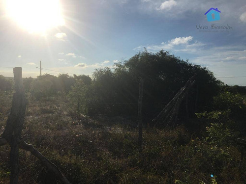 Imagem 3 de 8 de Terreno À Venda, 200 M² Por R$ 25.000 - Chácaras Do Mar - Carapibus - Te0660