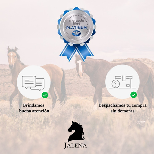 Imagen 6 de 8 de Montura Chilena Común Con Pellón Sintético Negro Jaleña