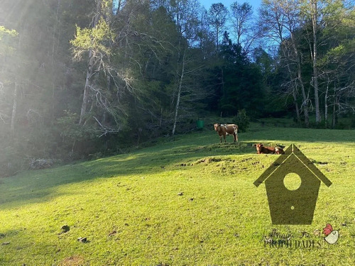 Parcela Con Casa E Instalaciones, 1 Hectarea