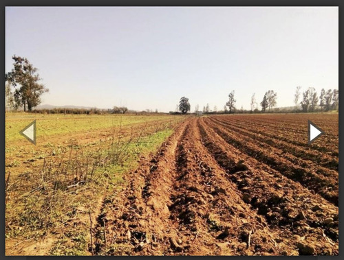 Parcela En Venta En Limache