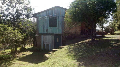 Imagem 8 de 15 de Chácara Para Venda Em Taquara, Santa Cruz Da Concórdia - Jvch011_2-1266711
