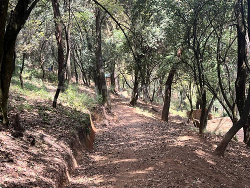 Terrenos Ecológicos En Venta, Santa Rosa Xochiac, Álvaro Obregón, Cdmx