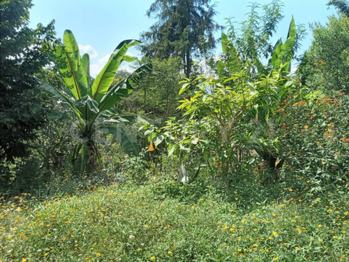 Terreno En Venta, San Gabriel Ixtla, Valle De Bravo.