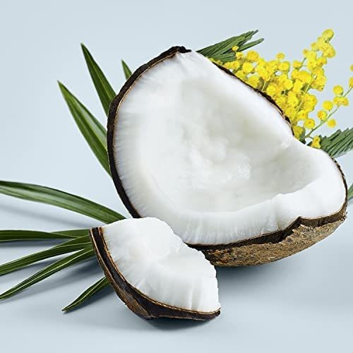 Condicionador Sem Silicone Love Beauty And Planet