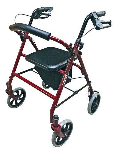 Andadera Rollator Economica Acero Tinto Plegable Ortiz