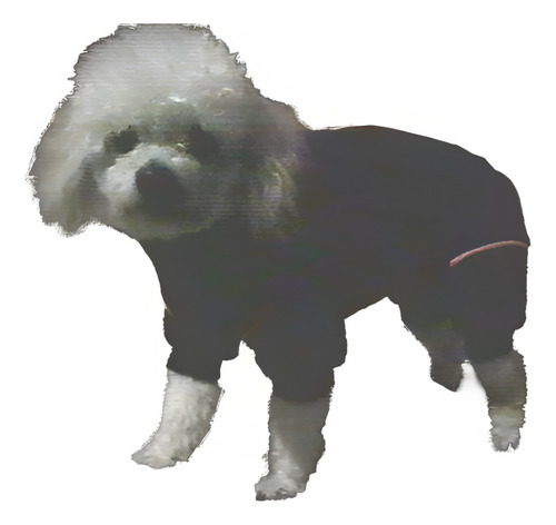 Pants Polar 4 Patas Invierno Para Perro Talla 0 Gran Can