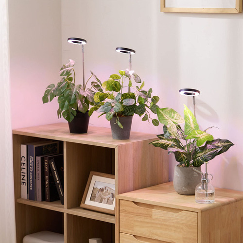Luz Led Para Cultivo De Plantas Em Ambientes Internos, Em