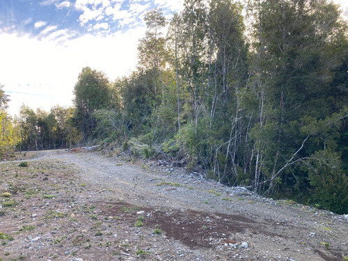 Parcela Cruce Los Pinis Comuna Calbuco