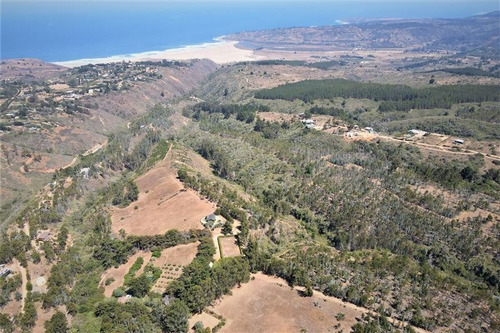 Imagen 3 de 24 de Agrícola En Venta En Algarrobo