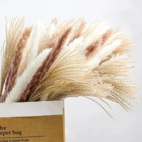 110 Peças De Capim-dos-pampas Secos Para Decoração De Casame