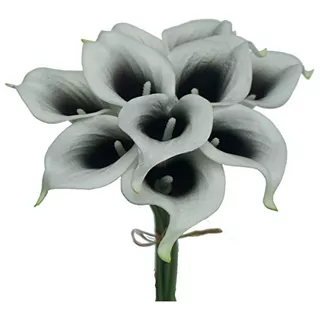 Ramos De Lirio Calla Picasso Artificial (negro Y Blanco...