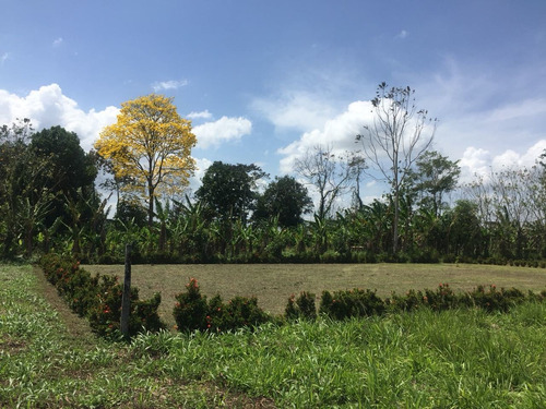 Imagen 3 de 10 de Se Vende Lote 749 M2 La Fortuna San Carlos
