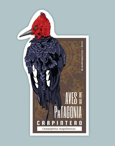 Sticker Carpintero Aves De La Patagonia