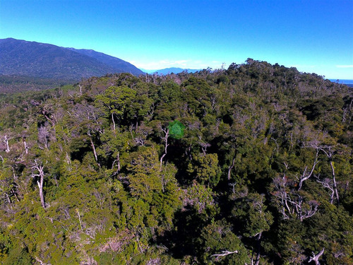 Oportunidad! Inversión O Forestal En Carretera Austral.