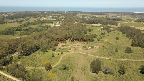 Imagen 11 de 21 de Chacra En Venta En Manantiales Ruta 104, 30 Has