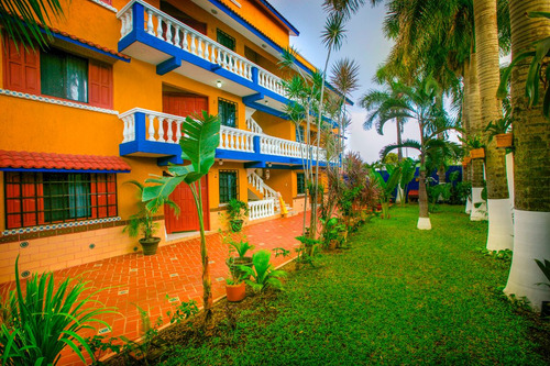 Hermosos Departamentos Amueblados A Solo 4 Cuadras Del Mar En Cozumel