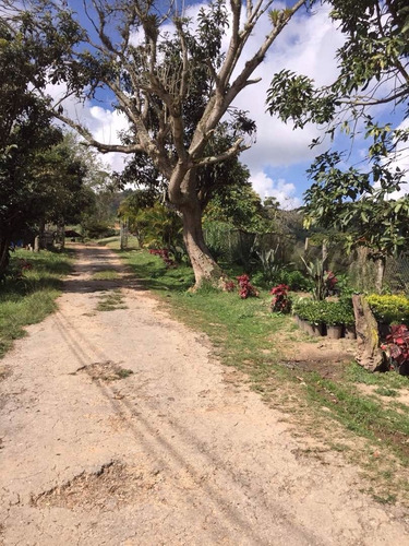 Imagen 2 de 23 de Finca Para Equitación. Miranda, San Antonio De Los Altos.