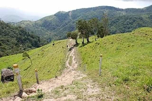 Imagen 7 de 14 de Finca En San Cristobal Chorro El Indio