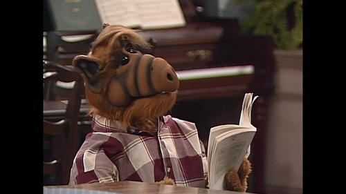 Alf Serie Completa Calidad Full Hd Español Latino - Ingles