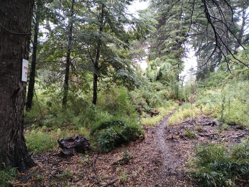 Terrenos En San Martín De Los Andes