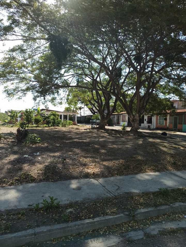 Imagen 21 de 22 de Casa Urb. La Blanquera Palo Negro. Aragua